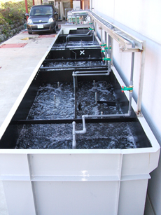 リネンサプライ排水KIDS実験装置
